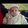 Emrah YENİLMEZ