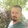 Talip Erdemsoy