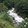 Turan Özgök