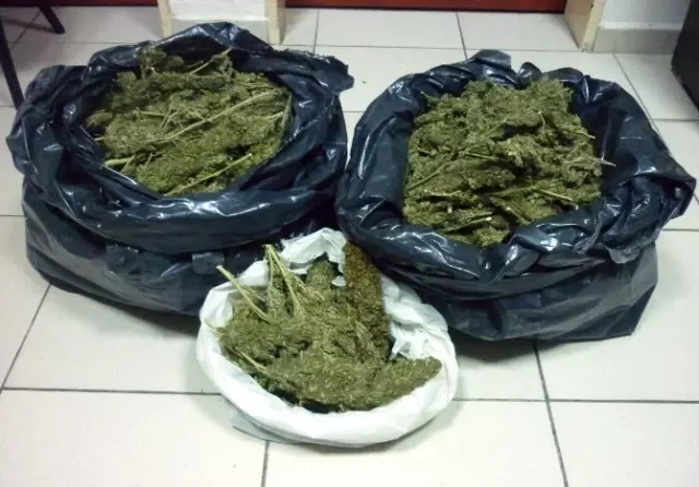 Şampuan Kutusundan Uyuşturucu Çıktı