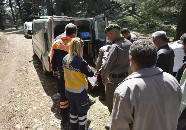 Muğla'da 2 Gündür Kayıp Olan Çoban Ölü Bulundu