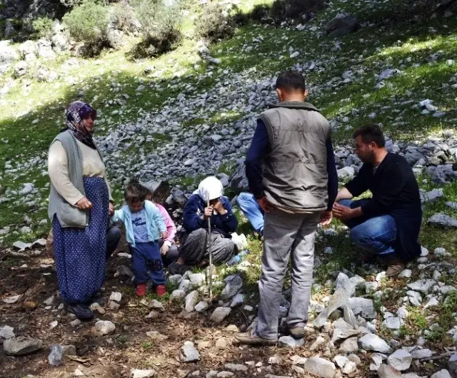 Muğla'da 2 Gündür Kayıp Olan Çoban Ölü Bulundu