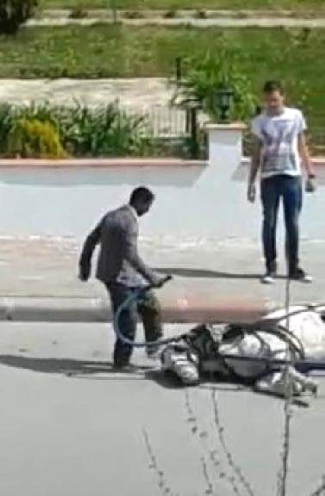 Vicdansız Adam, Yere Düşen Atını Tekmeleyerek Kaldırmaya Çalıştı