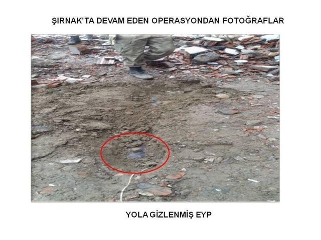PKK'nın Kullandığı Evin Bahçesinden Hint Keneviri Çıktı