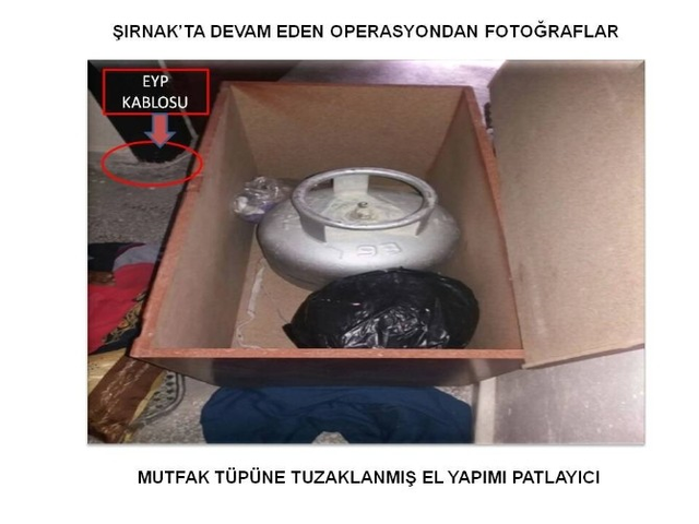 PKK'nın Kullandığı Evin Bahçesinden Hint Keneviri Çıktı