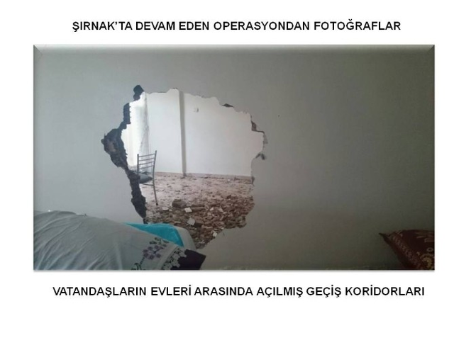 PKK'nın Kullandığı Evin Bahçesinden Hint Keneviri Çıktı
