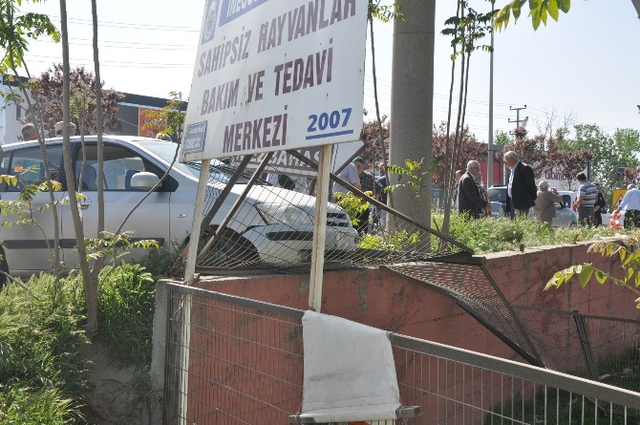 Cenaze Yolunda 55 Kişi Ölümden Döndü
