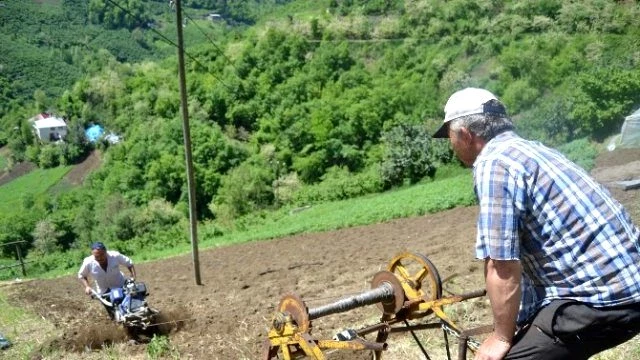 Karadenizli Vatandaş Yüzde 70 Eğimli Arazide Tarımın Nasıl Yapılacağını Gösterdi