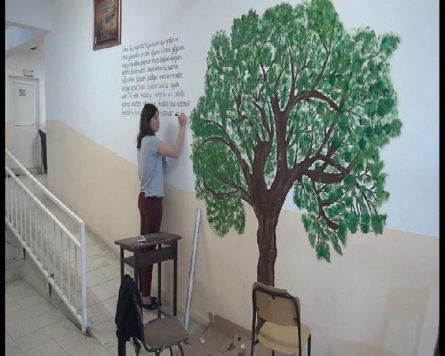 Kosava'nın Tek Türk Belediyesinde Okul Boyadılar