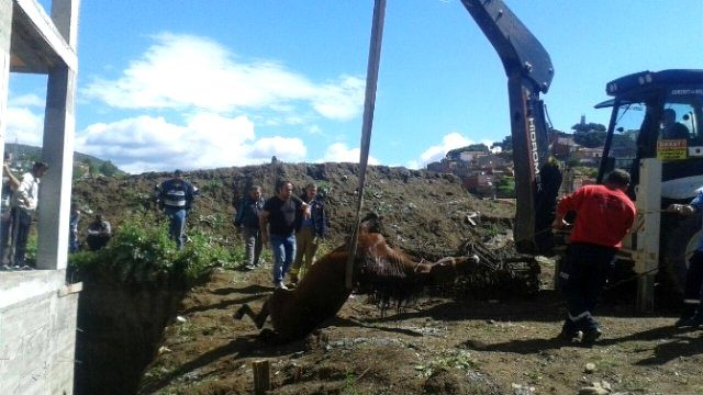 İnşaat Çukuruna Düşen Atı İtfaiye İş Makinesi ile Kurtardı