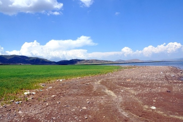 Güneydoğu'da Kuraklık! Ürünler Kurumaya Başladı