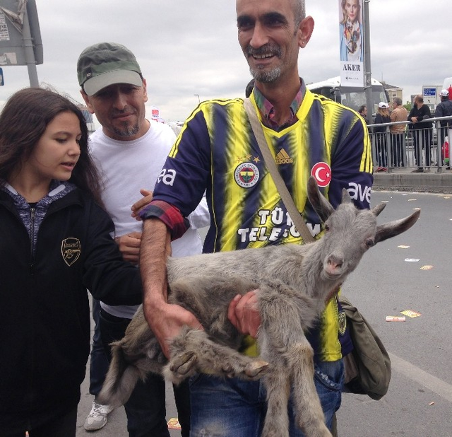 1 Mayıs Kutlamalarında Kalabalığın Arasına Dalan Keçi Yavrusu İlgi Odağı Oldu