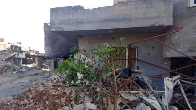 Teröristler Nusaybin'i Harabeye Çevirdi