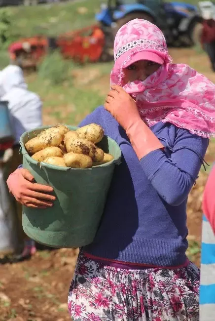 40 Lira İçin 12 Saat Çalışıyorlar