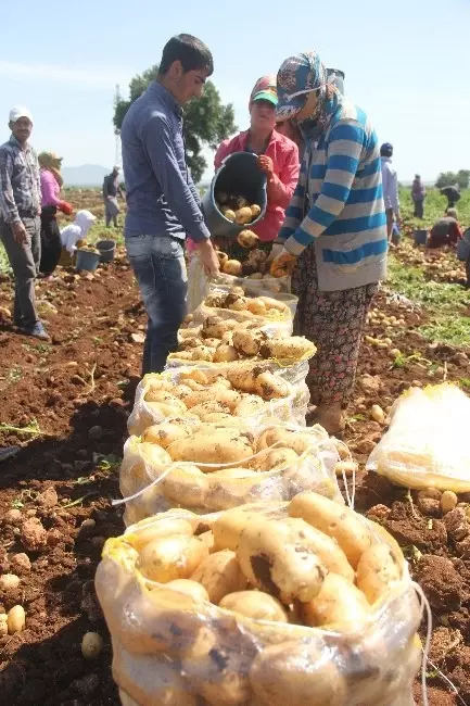 40 Lira İçin 12 Saat Çalışıyorlar