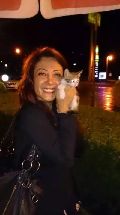 Şüpheli Paketten Kedi Çıktı