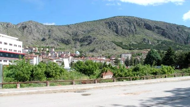 Amasya'nın 'Yeşil Nöbeti'nde Aleyhte Karar Çıktı; 90 Ağaç Kesildi