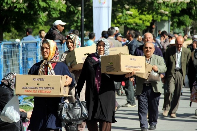 Domates Fidesi Alabilmek İçin Birbirleriyle Yarıştılar