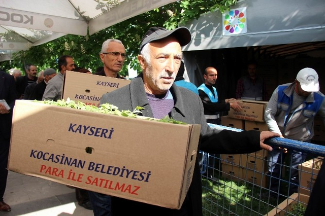 Domates Fidesi Alabilmek İçin Birbirleriyle Yarıştılar