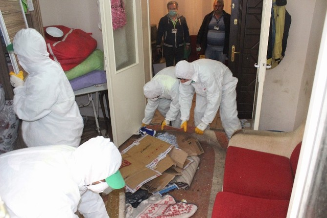 Komşuları Şikayet Etti, Belediye Kedileri Alırken Sahibi Vermemek İçin Direndi