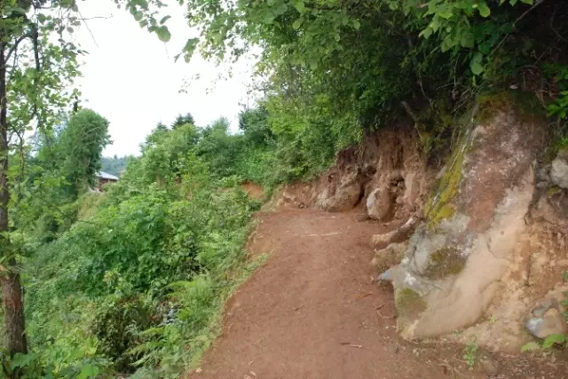 Çay Bahçesine Yol Yapılmayan Rizeli, Kendi Yolunu Kendi Yaptı