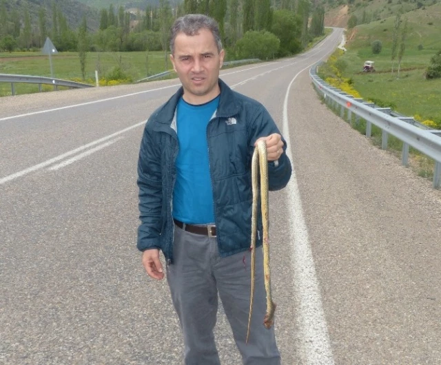 Yaban Hayatı Uzmanından