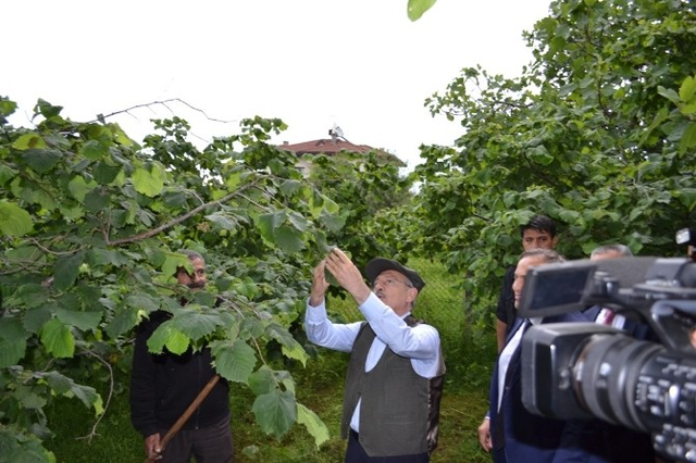 Kılıçdaroğlu Tırpan Salladı