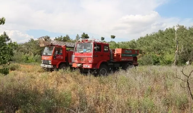 Yaşlı Adam Zeytin Bahçesinde Çıkan Yangında Öldü