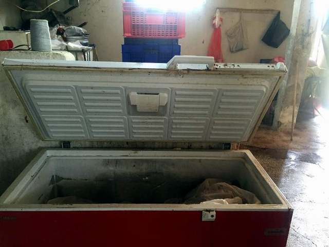 5 Ton Kaçak Domuz Eti Ele Geçirildi