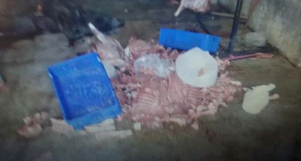 İstanbul'da Bir Ton Kaçak Domuz Eti Yakalandı