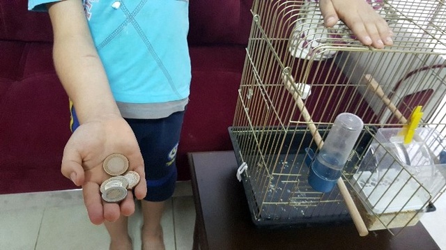 Kuşu Kaybolan Çocuk, Kuşunu Bulana 5 TL Verecek