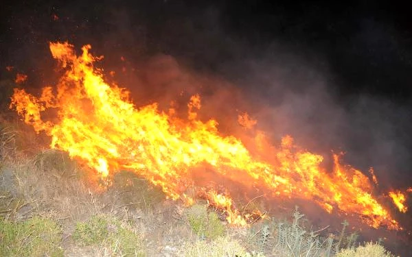 Bodrum'da Makilik Alandaki Yangın Korkuttu