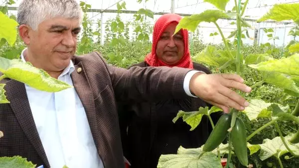 Çocuklarının Eğitimine Katkı İçin Destek İstedi, Ziraat Odası Onun İçin Sera Kurdu