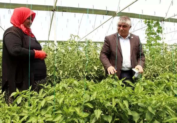 Çocuklarının Eğitimine Katkı İçin Destek İstedi, Ziraat Odası Onun İçin Sera Kurdu