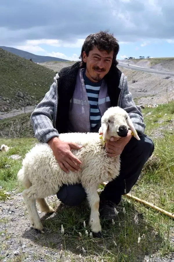 Kayserili Besiciler, 2 Bin Liraya Çoban Bulamıyor