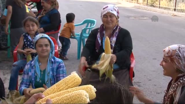 Kilis'te 12 Kişilik Bir Aile Geçimlerini <a class='keyword-sd' href='/misir/' title='Mısır'>Mısır</a> Satarak Sağlıyor