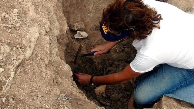 İlk İnsan Türü Hobbitlerle İlgili Yeni Bulgulara Ulaşıldı
