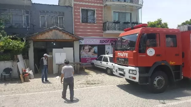 Kocaeli'de Yılanlar Şehir Merkezi'ne İndi