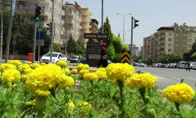 Sözde Soykırımı Onayan Almanya'ya İlginç Misilleme Gaziantep'ten Geldi