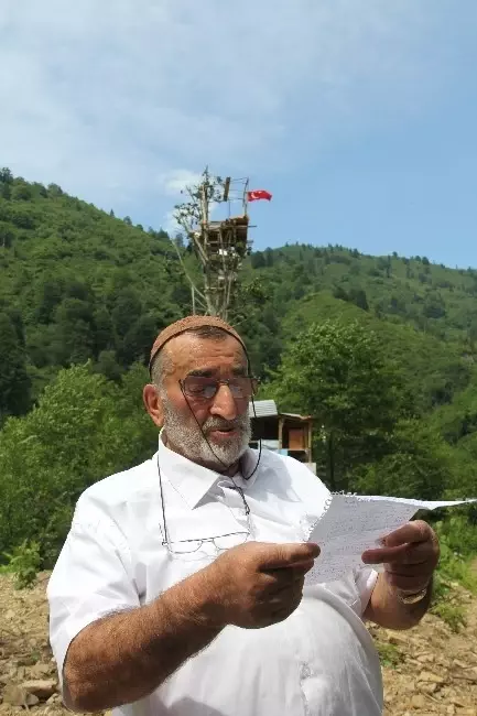 Arı Kovanlarını Ayıdan Korumak İsteyen Rizeli Gürgen Ağacına Baraka Kurdu