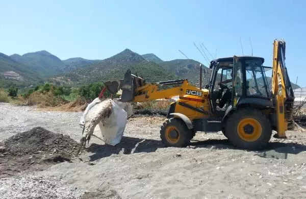 Antalya'da Dev Gagalı Balina Ölüsü Karaya Vurdu