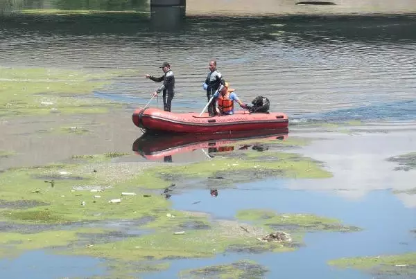 Ceyhan Nehri'nden 15 İnek Leşi Çıkarıldı