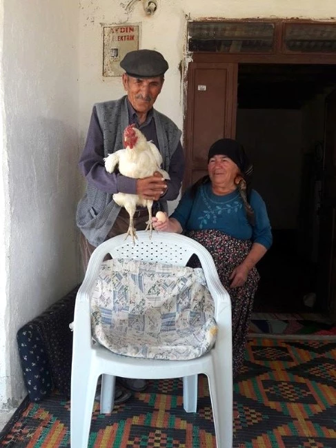 Sandalyeden Başka Yere Yumurtlamıyor