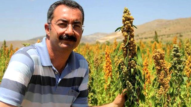 Avrupa'da Gördü, Kinoa Bitkisini Tarlasına Ekti