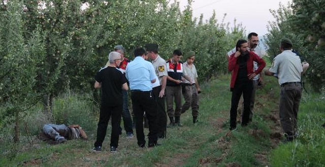 Elma Bahçesinde Başından Vurulmuş ve Boğazı Kesilmiş Olarak Bulundu