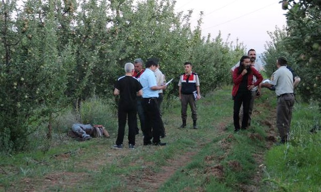 Elma Bahçesinde Başından Vurulmuş ve Boğazı Kesilmiş Olarak Bulundu