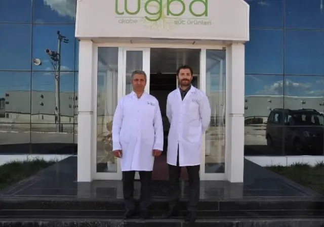 Sivas'tan Dünyaya 'Mozzarella Peyniri' İhraç Ediyorlar