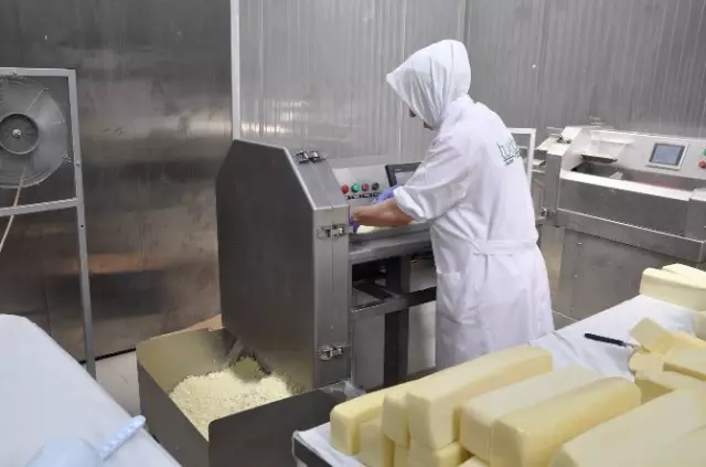 Sivas'tan Dünyaya 'Mozzarella Peyniri' İhraç Ediyorlar