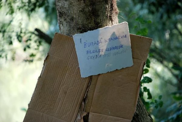 Bartın'da Ağaca Not Asan Bir Kişi Irmağa Atlayarak İntihar Etti