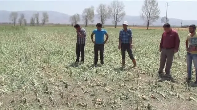 Afyonkarahisar'da Dolu, Tarım Arazilerini Vurdu